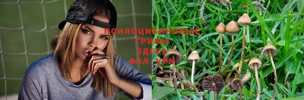 прущая мука Аркадак